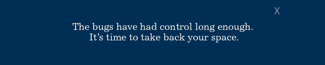 The bugs have had control long enough. It's time to take back your space.