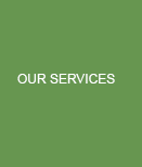 Our Services