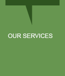 Our Services